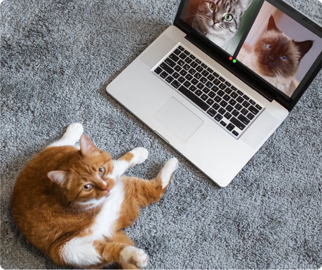 Кредит довіри